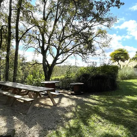 Holiday home Piscine 15 Personnes Brouchaud